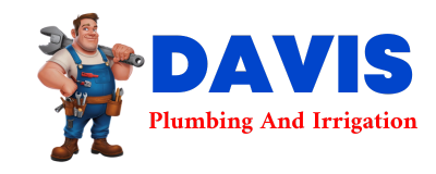 Trusted plumber in BALLENTINE